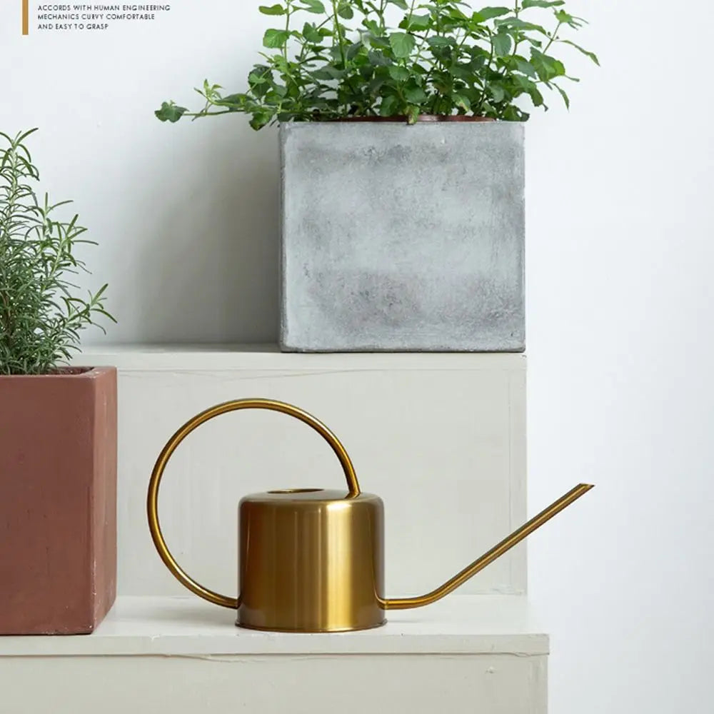 Gold watering can on a white surface with potted plants in the background