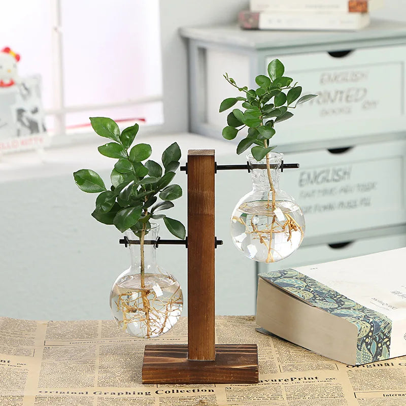 Decorative setup with glass vases containing plants on a wooden stand, placed on a surface with a book and newspaper.