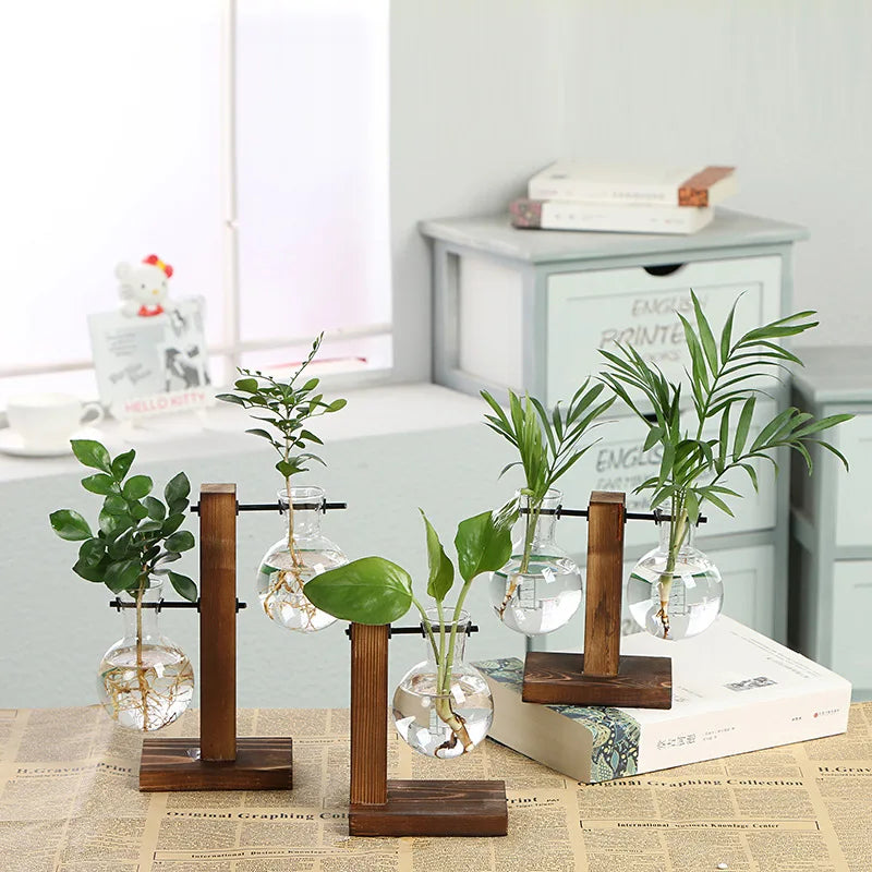 Glass Terrarium Vase with Wooden Frame