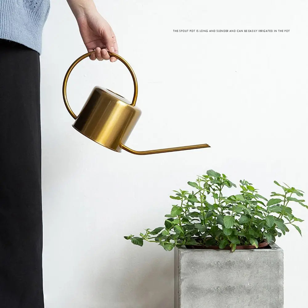 1.3L Stainless Steel Watering Can