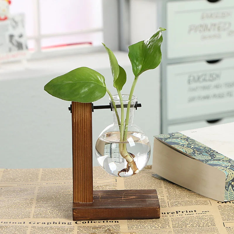 Glass Terrarium Vase with Wooden Frame