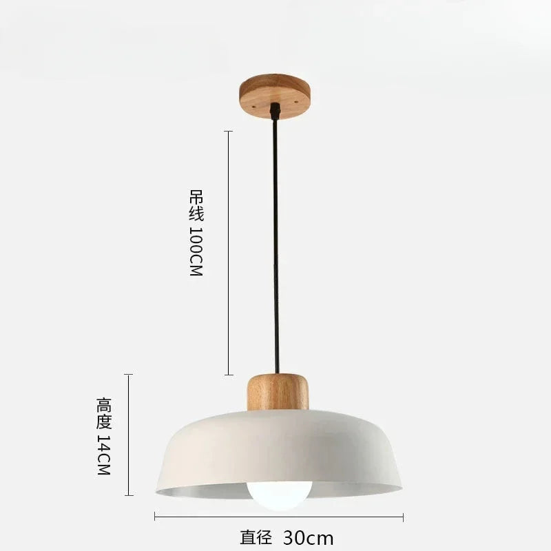 Nordic Minimalist Pendant Light