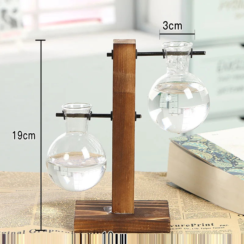 Glass Terrarium Vase with Wooden Frame