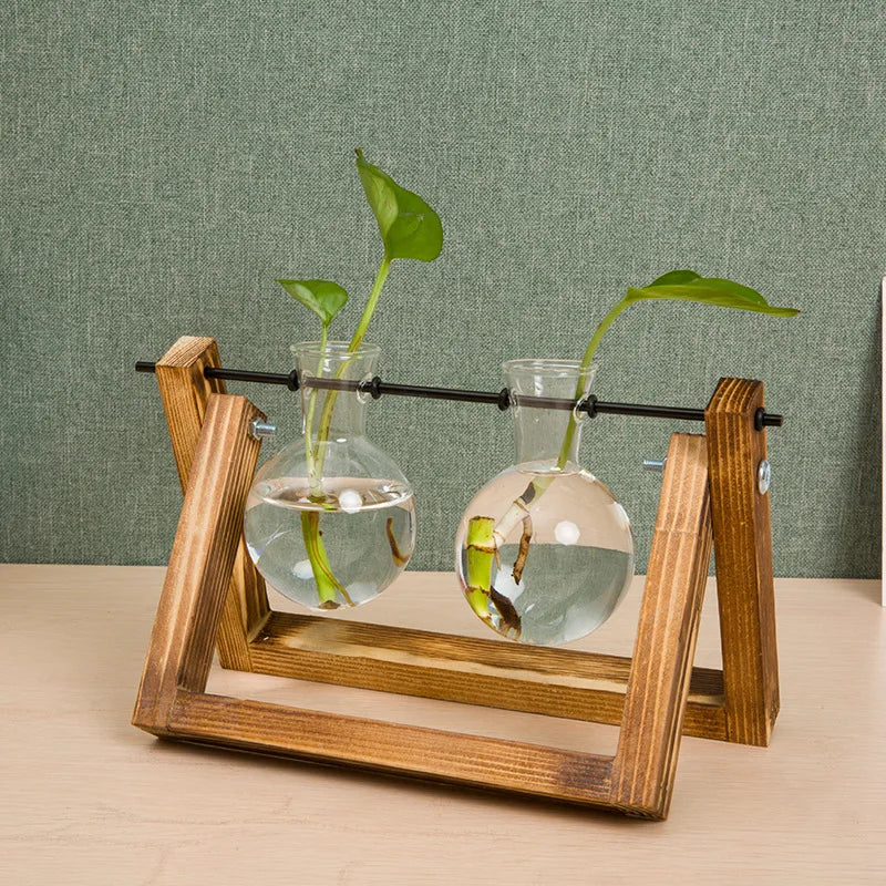 Glass Terrarium Vase with Wooden Frame