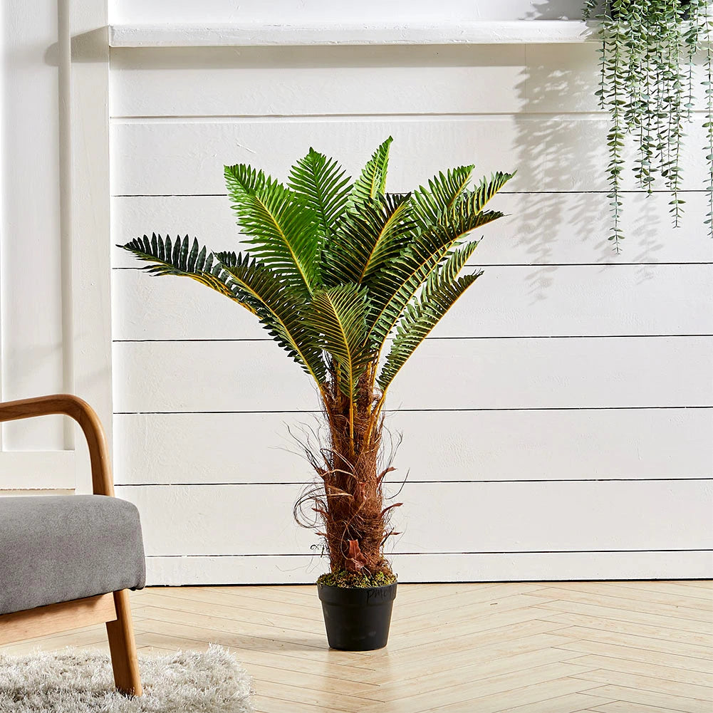 Potted plant in a room with a wooden floor and white wall
