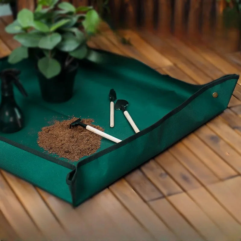 Green tray with soil, small plants, and tools on a wooden surface