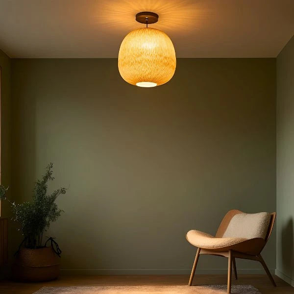 Ceiling Lights