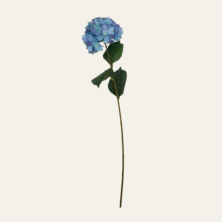 Belan Flower Stem — single long stem with blue-lavender hydrangea-style flower cluster and dark green leaves