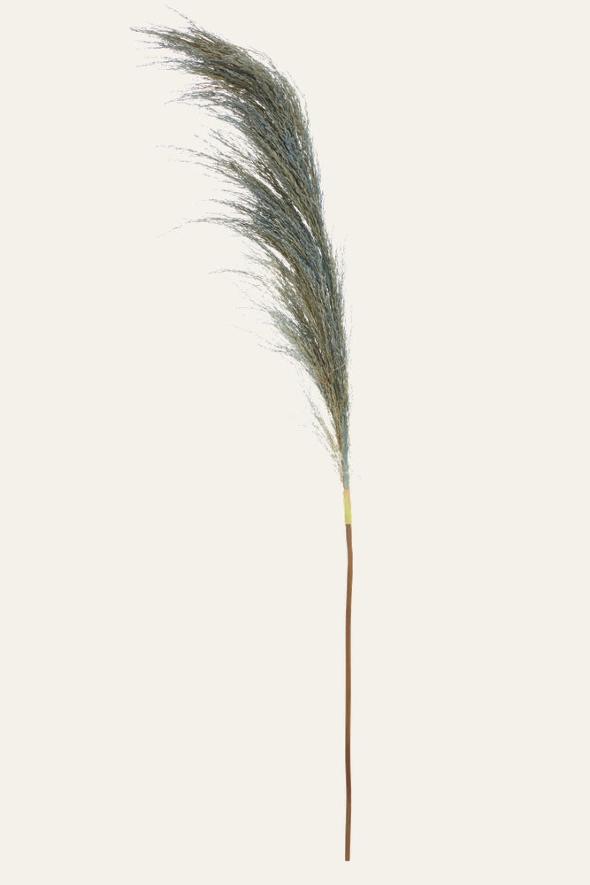Belan Stem — single tall brown stem with a feathery blue-gray plume and a small yellow band near the top, shown against a light background.