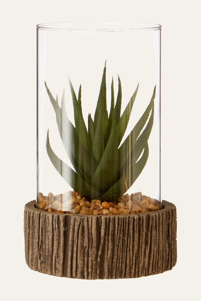 Belan Stone Base Succulent with a green succulent inside a clear cylindrical glass, tan decorative pebbles, and a textured brown stone base with vertical groove detail