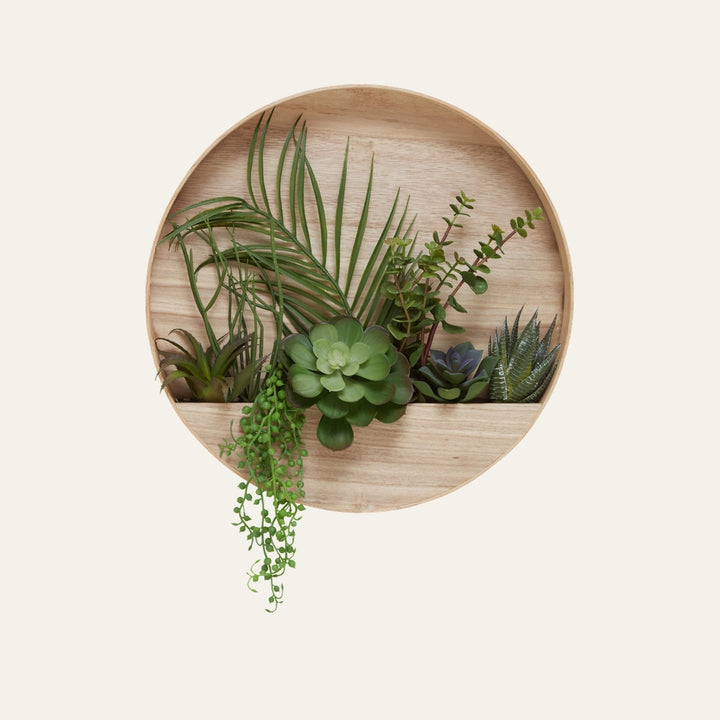 Belan Succulent Wood Wall Planter — round light wood wall planter with a shallow front shelf holding mixed green succulents, spiky aloe-like leaves, palm frond and trailing string-of-pearls