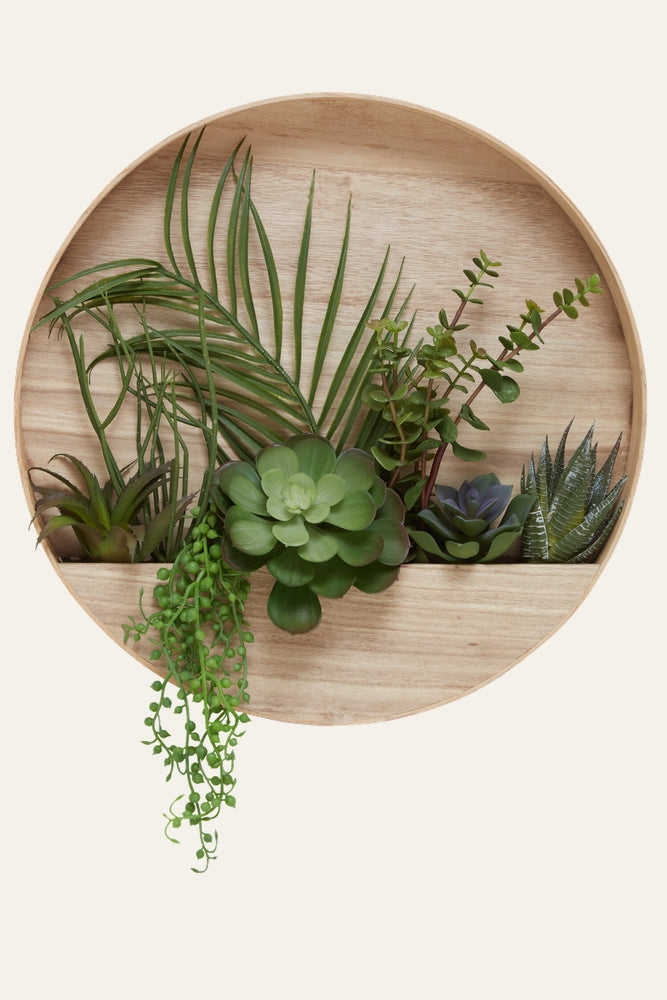 Belan Succulent Wood Wall Planter — round light wood wall planter with a shallow front pocket filled with mixed succulents, a central rosette, palm-like fronds and trailing bead-like greenery.