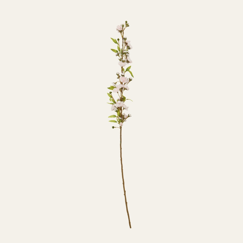 Belan Tall Cherry Blossom Flower Stem with a long slender brown stem, clusters of pale pink cherry blossom blooms and green leaves on a light background