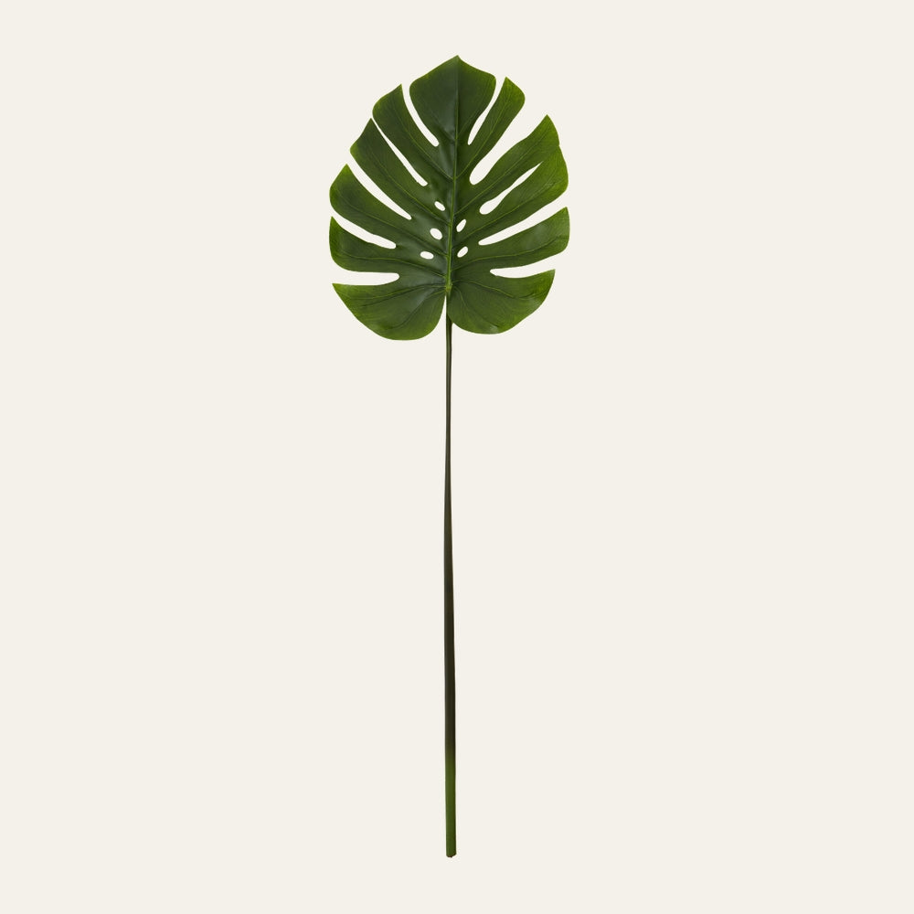 Belan Tall Monstera Palm Stem — single large split Monstera leaf in deep green atop a long slender straight stem