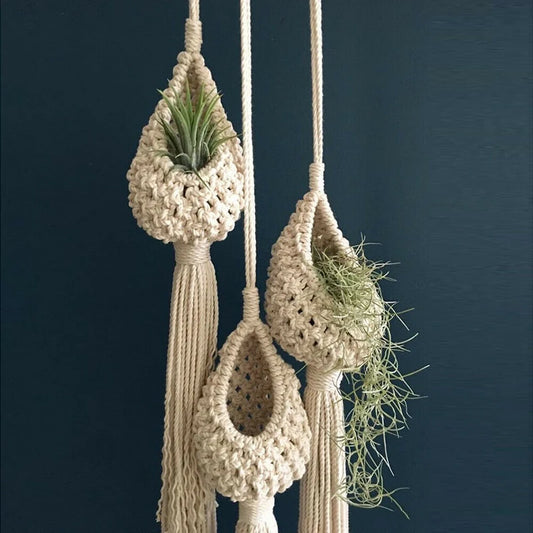 Three macrame plant hangers with air plants against a dark blue background