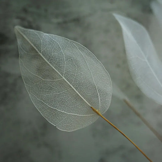 Lucent Leaf Vein Decoration Stems