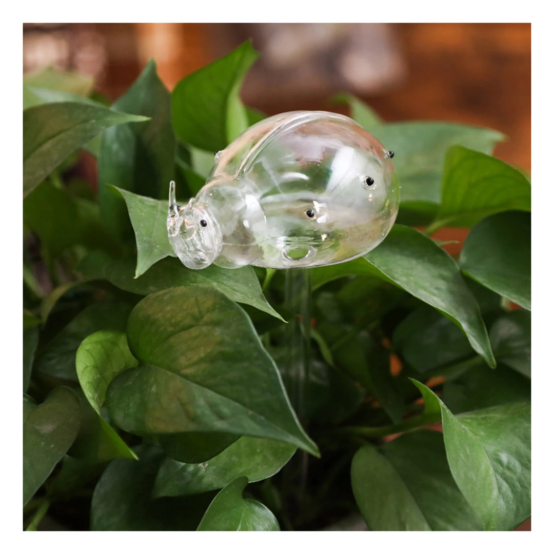 Glass Self-Watering Globe for Plants