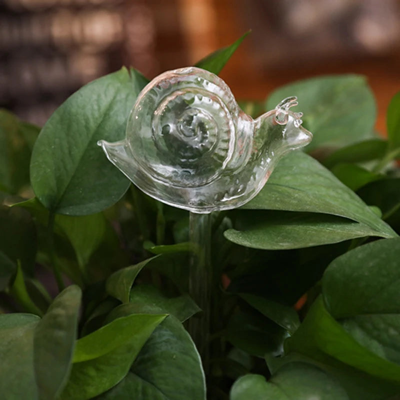 Glass Self-Watering Globe for Plants