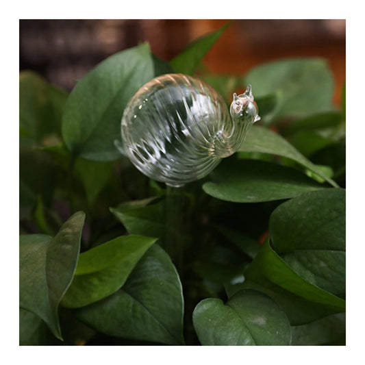 Glass Self-Watering Globe for Plants