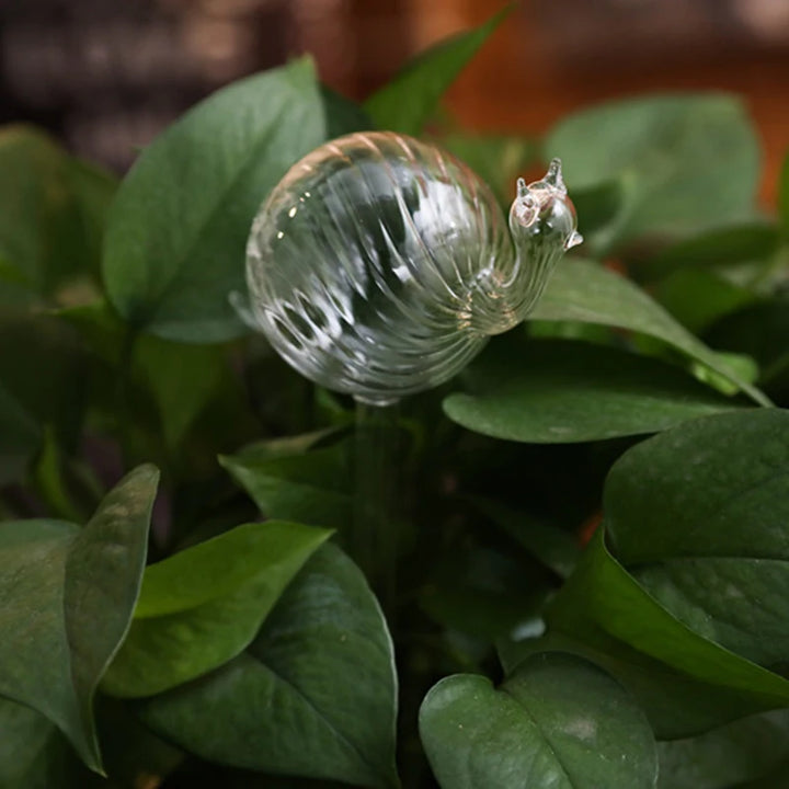 Glass Self-Watering Globe for Plants