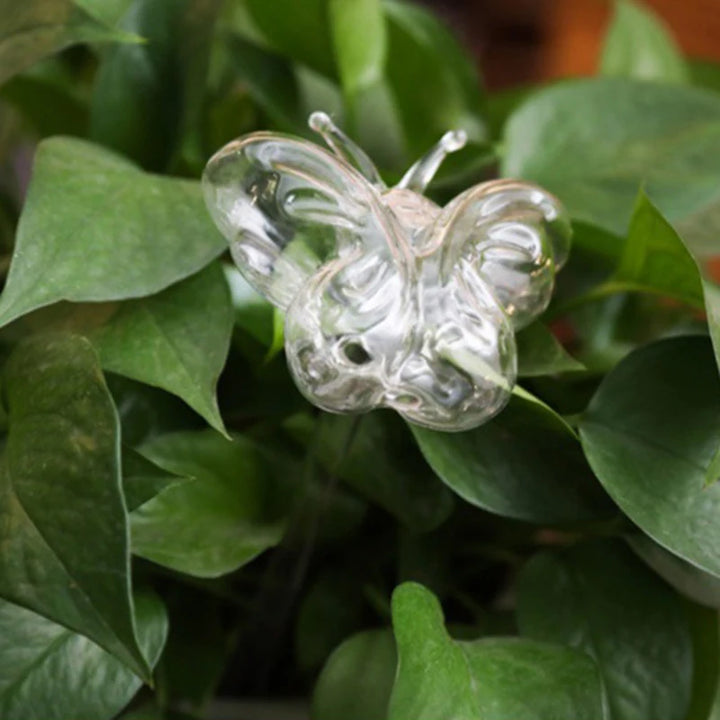 Glass Self-Watering Globe for Plants