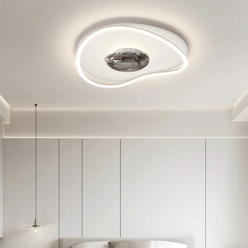 Modern Simple LED Ceiling Lamp