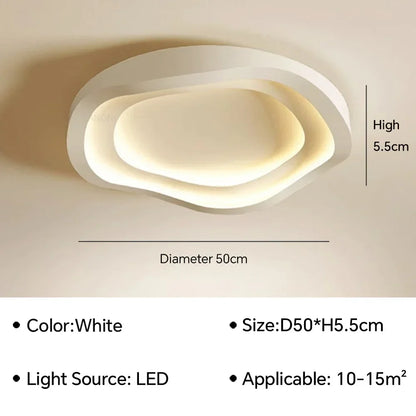Modern Flush Mount Ceiling Light
