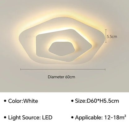 Modern Flush Mount Ceiling Light