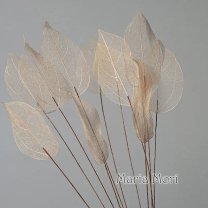 Lucent Leaf Vein Decoration Stems
