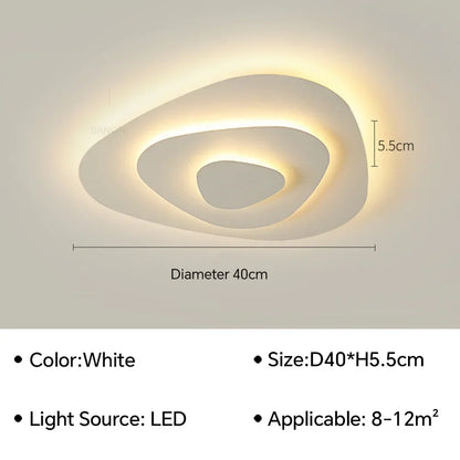 Modern Flush Mount Ceiling Light