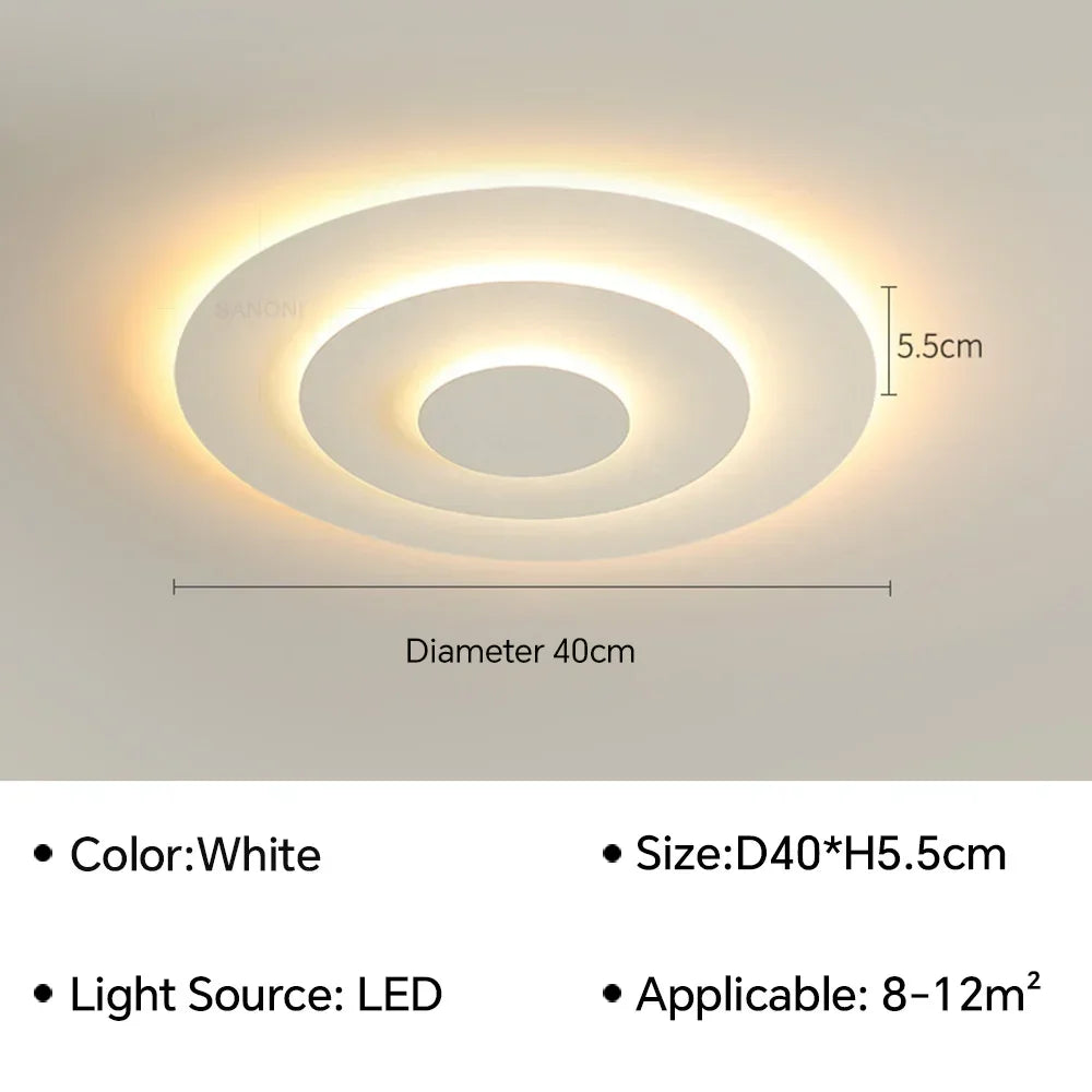 Modern Flush Mount Ceiling Light