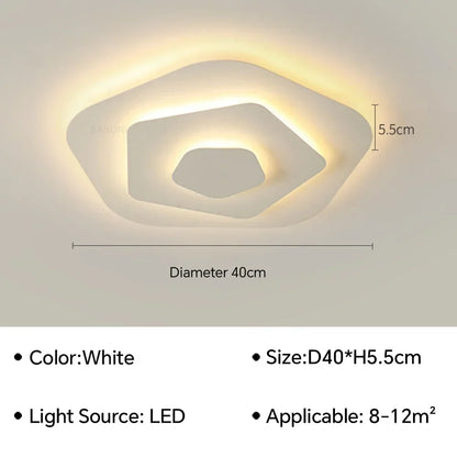 Modern Flush Mount Ceiling Light