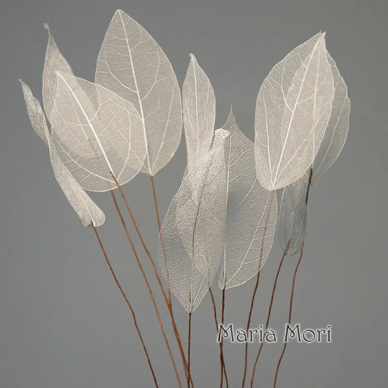 Lucent Leaf Vein Decoration Stems