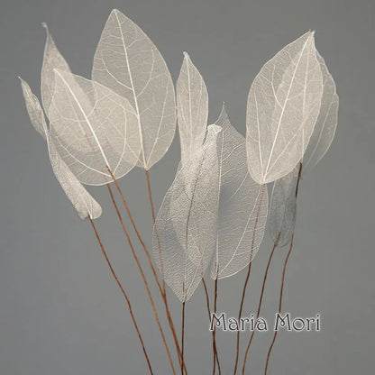 Lucent Leaf Vein Decoration Stems