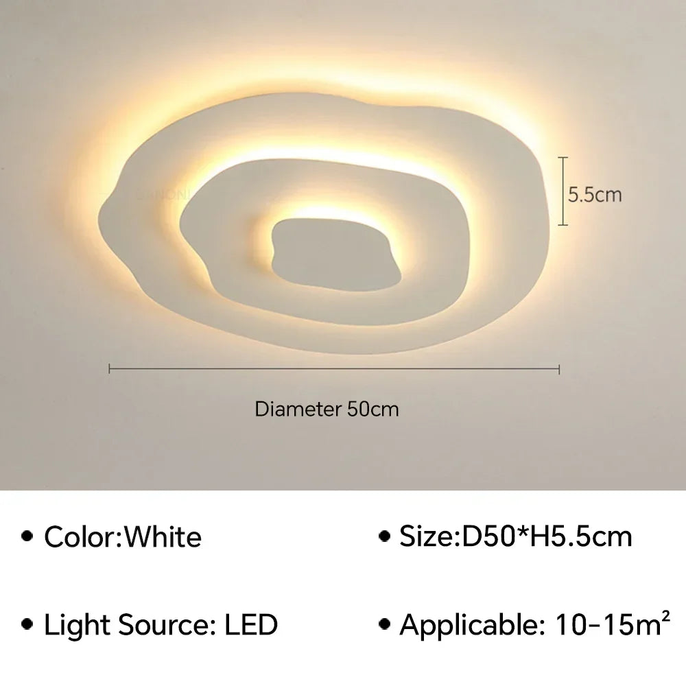 Modern Flush Mount Ceiling Light