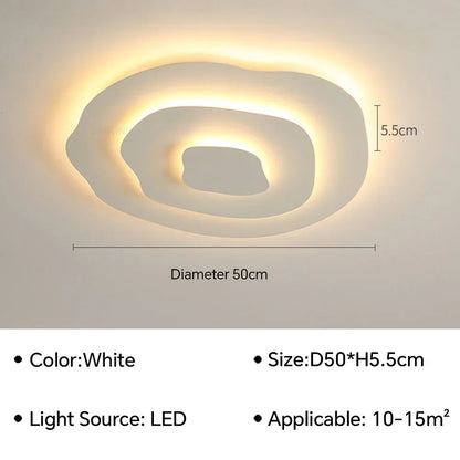 Modern Flush Mount Ceiling Light