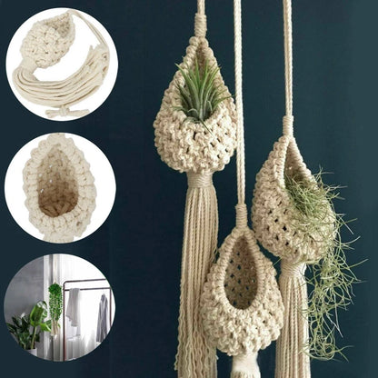 Boho Macramé Air Plant Hanger