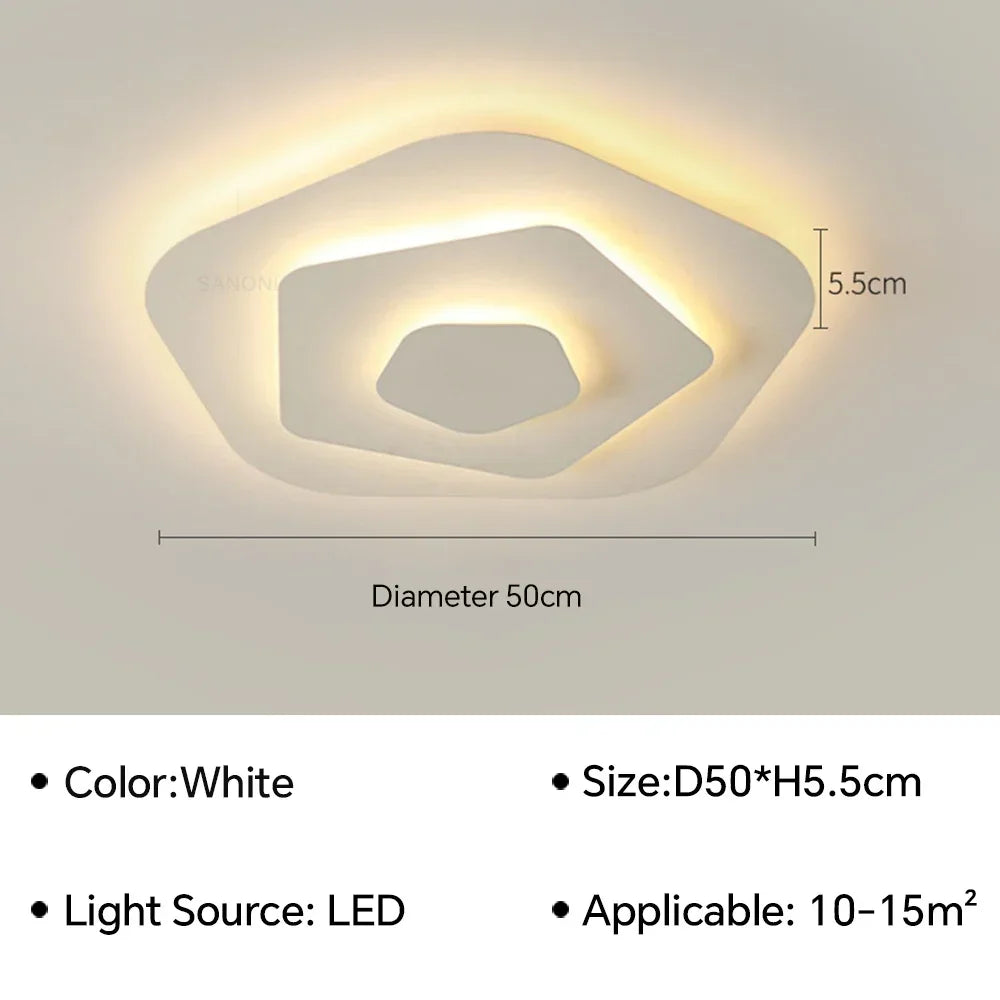 Modern Flush Mount Ceiling Light