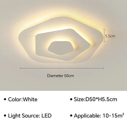 Modern Flush Mount Ceiling Light