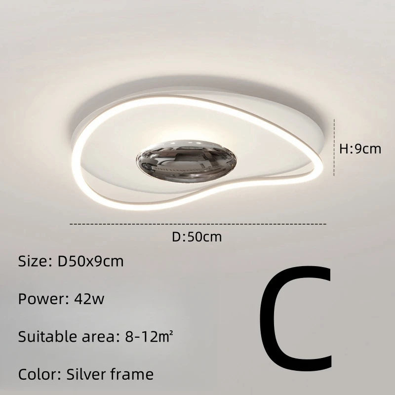 Modern Simple LED Ceiling Lamp