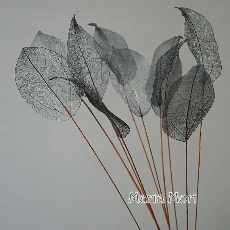 Lucent Leaf Vein Decoration Stems