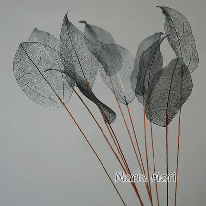 Lucent Leaf Vein Decoration Stems