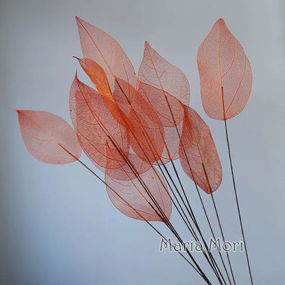 Lucent Leaf Vein Decoration Stems