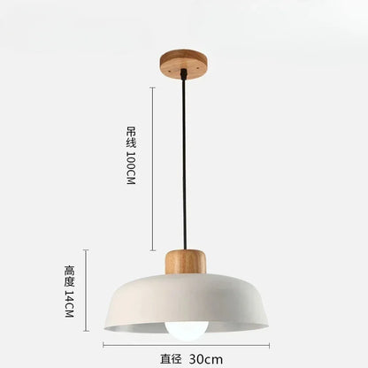 Nordic Minimalist Pendant Light