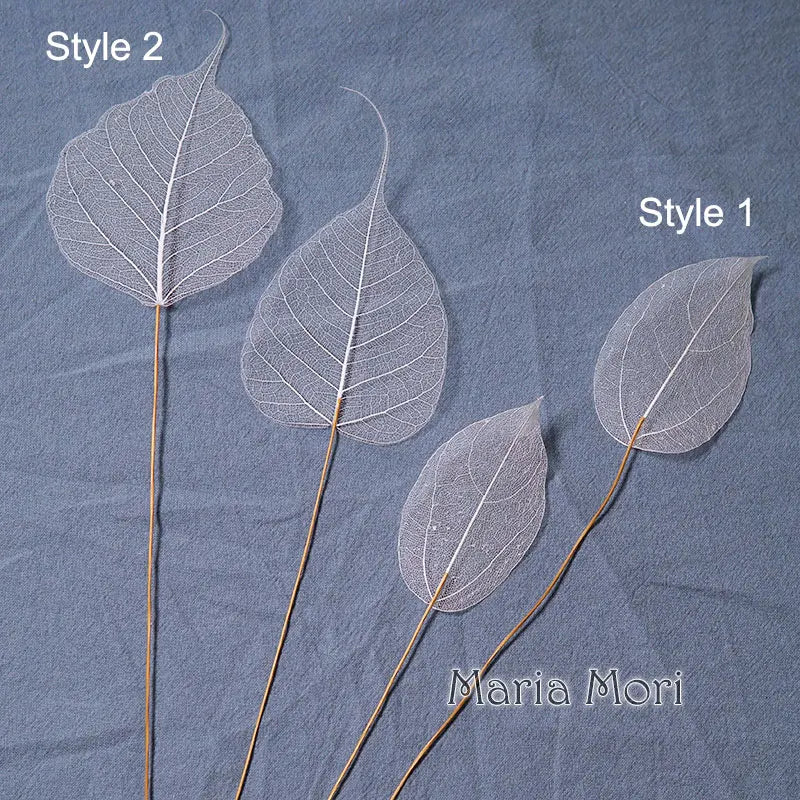 Lucent Leaf Vein Decoration Stems
