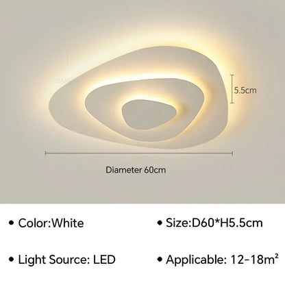 Modern Flush Mount Ceiling Light