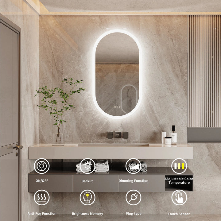 Oval LED Bathroom Mirror with Lights