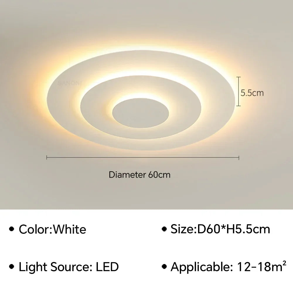 Modern Flush Mount Ceiling Light