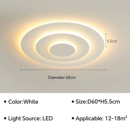 Modern Flush Mount Ceiling Light