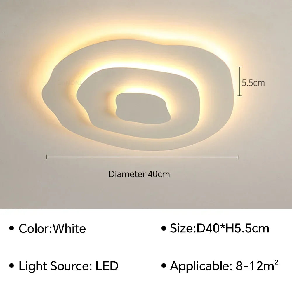 Modern Flush Mount Ceiling Light
